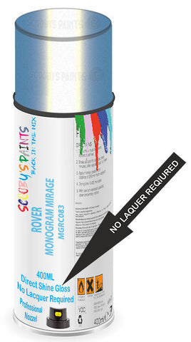 paint for ROVER 