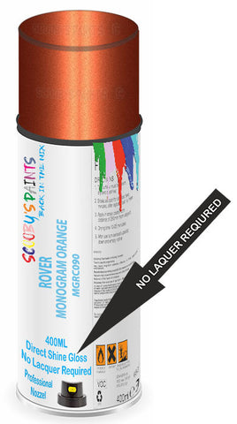 paint for ROVER 