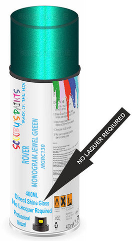paint for ROVER 