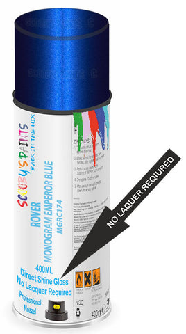 paint for ROVER 