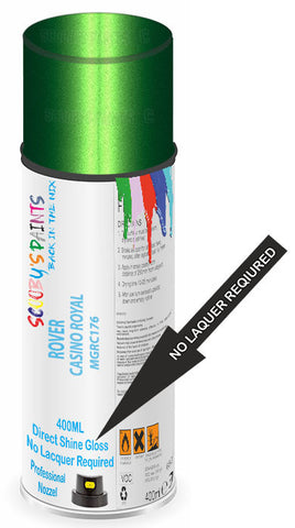 paint for ROVER 