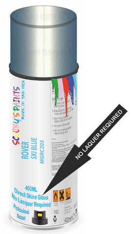 paint for ROVER 45
