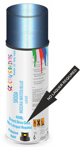 paint for Skoda Enyaq Iv