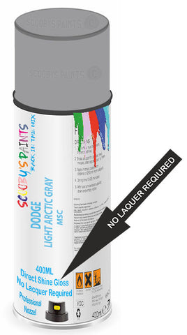 paint for Dodge Ram Van