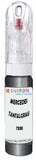 10ml–30ml touch-up kit for Mercedes Actros chips and scratches, precise colour match to Tantalgrau 7338