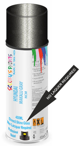 paint for HYUNDAI EON