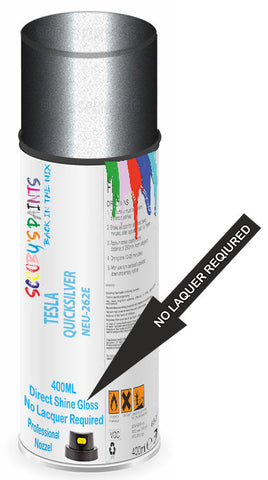paint for TESLA 