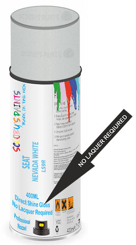 paint for Seat Ibiza Sc