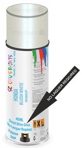 paint for Honda Elysion