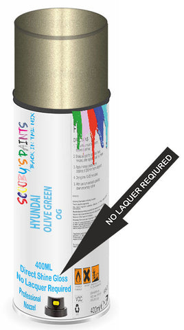 paint for Hyundai H200