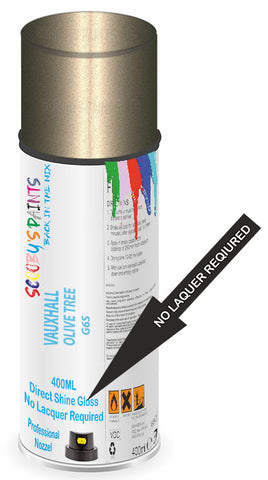paint for Vauxhall Zafira