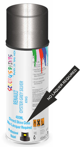 paint for Renault Logan