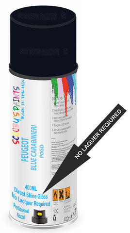 paint for PEUGEOT 