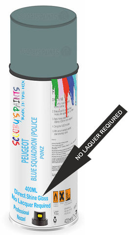 paint for PEUGEOT 