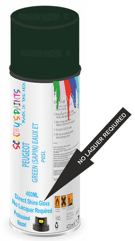 paint for PEUGEOT 106 ELECTRIC