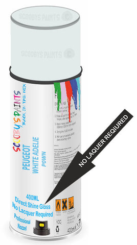paint for PEUGEOT 