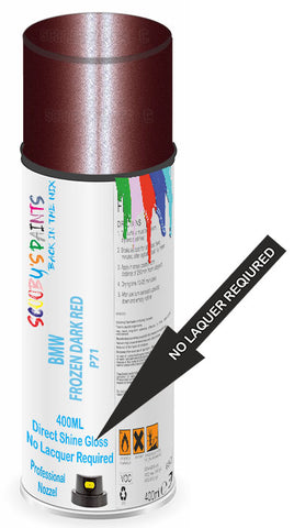 paint for Bmw M5