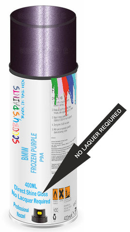 paint for BMW 