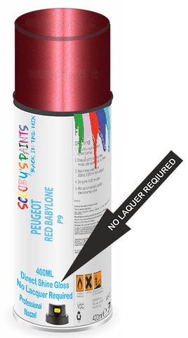 paint for Peugeot 1007