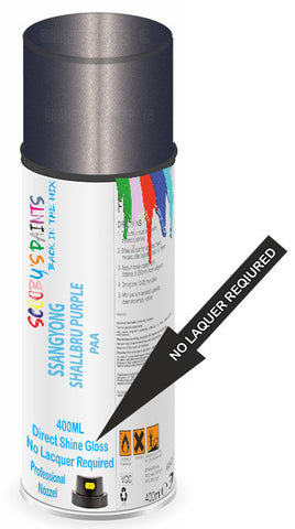 paint for SSANGYONG 
