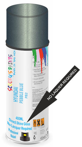 paint for HYUNDAI PONY