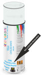 paint for Tesla Model S
