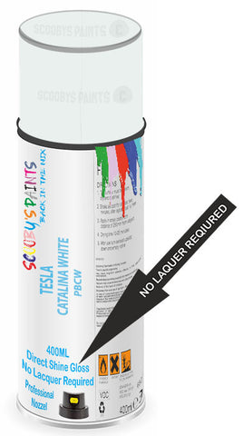 paint for Tesla Model S