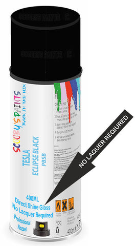 paint for Tesla Model 3