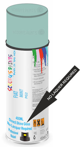 paint for Fiat 500