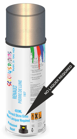 paint for Renault Twingo