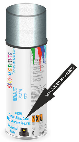 paint for RENAULT 