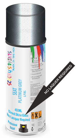 paint for Seat Toledo