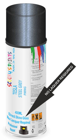 paint for Tesla Model 3