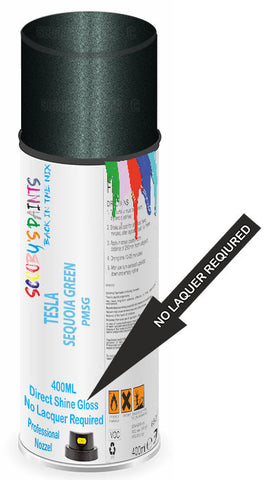 paint for Tesla Model S