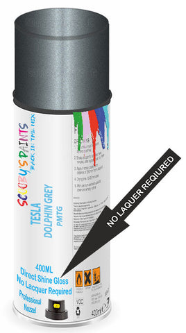 paint for Tesla Model S