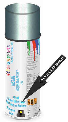 paint for Nissan Quest