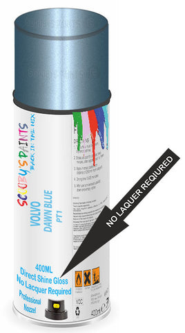 paint for Volvo S60
