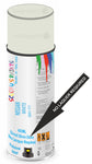 paint for NISSAN NX