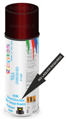 paint for Tesla Model S