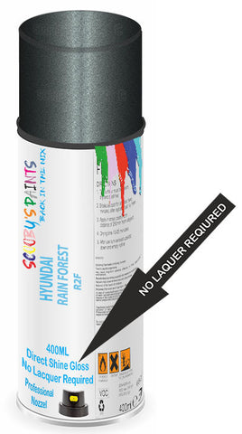 paint for Hyundai Palisade