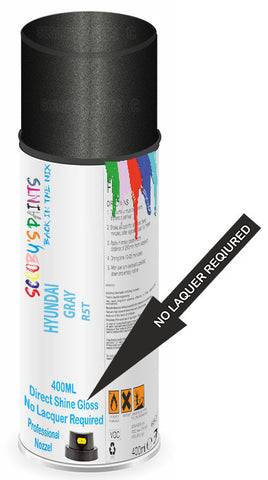 paint for HYUNDAI SONATA III
