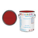 Ral 3002 Carmine Red For Bicycle Frames Acrylic Red Metal Bike 250Ml Tin