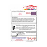 RAL 4001 Scuff Repair, Restore Bike, RAL Colours For a Bike, Brand New Bike Design, Cool Bike Colours, Red lilac Trike Colour, PURPLE-VIOLET Metal Paint
