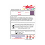 RAL 4001 Scuff Repair, Restore Bike, RAL Colours For a Bike, Brand New Bike Design, Cool Bike Colours, Red lilac Trike Colour, PURPLE-VIOLET Metal Paint
