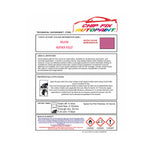 RAL 4003 Heather violet Customise Paints for Your Bike,Bicycle Colour Ideas, Trike Colours