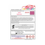 RAL 4003 Heather violet Customise Paints for Your Bike,Bicycle Colour Ideas, Trike Colours