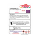 RAL 4008 Scuff Repair, Restore Bike, RAL Colours For a Bike, Brand New Bike Design, Cool Bike Colours, Signal violet Trike Colour, PURPLE-VIOLET Metal Paint
