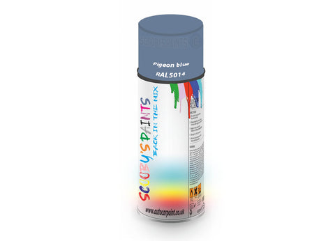 Pigeon Blue Ral5014 Window Door Aerosol Spray Paint Pvc And Upvcblue Spray