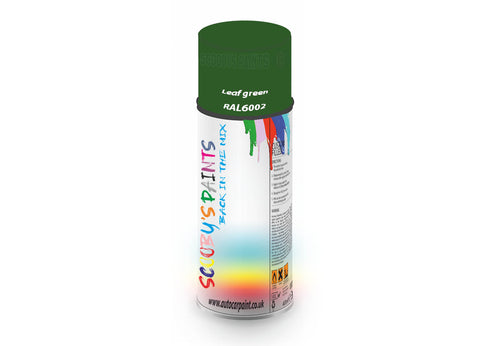 Leaf Green Ral6002 Window Door Aerosol Spray Paint Pvc And Upvcgreen Spray