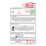 Dent repair paint,restore your windows and doors,door colour ideas, ral spray paint, british standard spray paint, paint for upvc and pvc plastic windows and doors RAL6019 Pastel green adhesive spray paint